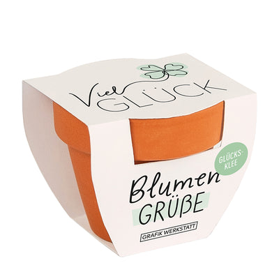 Blumengrüße Viel Glück Kleeblatt