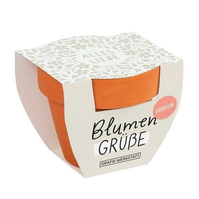 Blumengrüße Alles Liebe