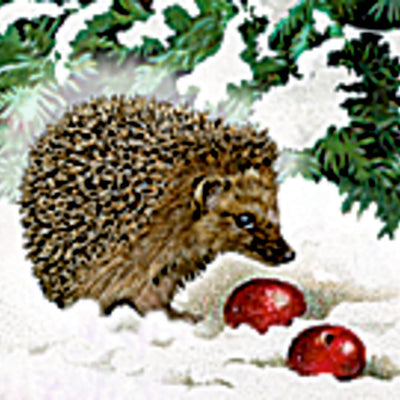 Wandadventskalender Eisenbahntanne