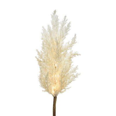 Micro LED Zweig Pampasgras mit Timer weiß